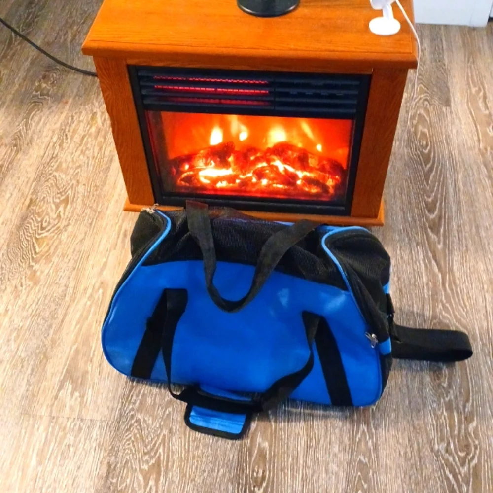 XL cat carrying case